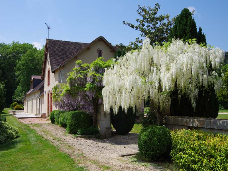 Château de Courcelles Le Roy_45630 BEAULIEU SUR LOIRE_3